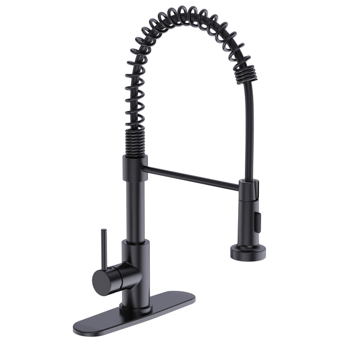 Kitchen Faucet  Coiled Sprayer  Matte Black